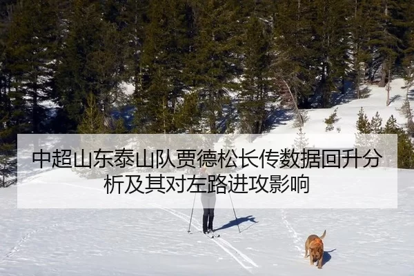中超山东泰山队贾德松长传数据回升分析及其对左路进攻影响